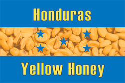 Single Origin: Honduras Yellow Honey (Light Roast)